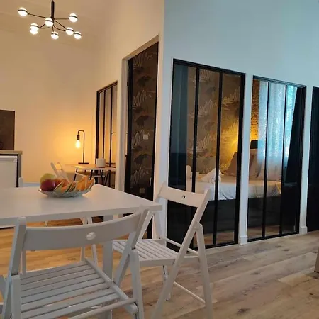 Le Manoir - Cite De - Parking Gratuit Holiday home Carcassonne